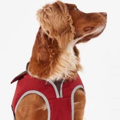 Hot Sale โจ Barbour Monmouth Waterproof ๐ Dog ๐งฅ Coat ๐ 26 Hot Sale โจ Barbour Monmouth Waterproof ๐ Dog ๐งฅ Coat ๐ -Lords & Labradors Sales Barbour Monmouth Waterproof Dog Coat 11