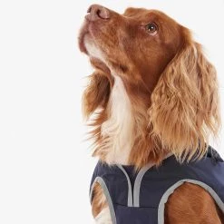 Hot Sale โจ Barbour Monmouth Waterproof ๐ Dog ๐งฅ Coat ๐ 23 Hot Sale โจ Barbour Monmouth Waterproof ๐ Dog ๐งฅ Coat ๐ -Lords & Labradors Sales Barbour Monmouth Waterproof Dog Coat