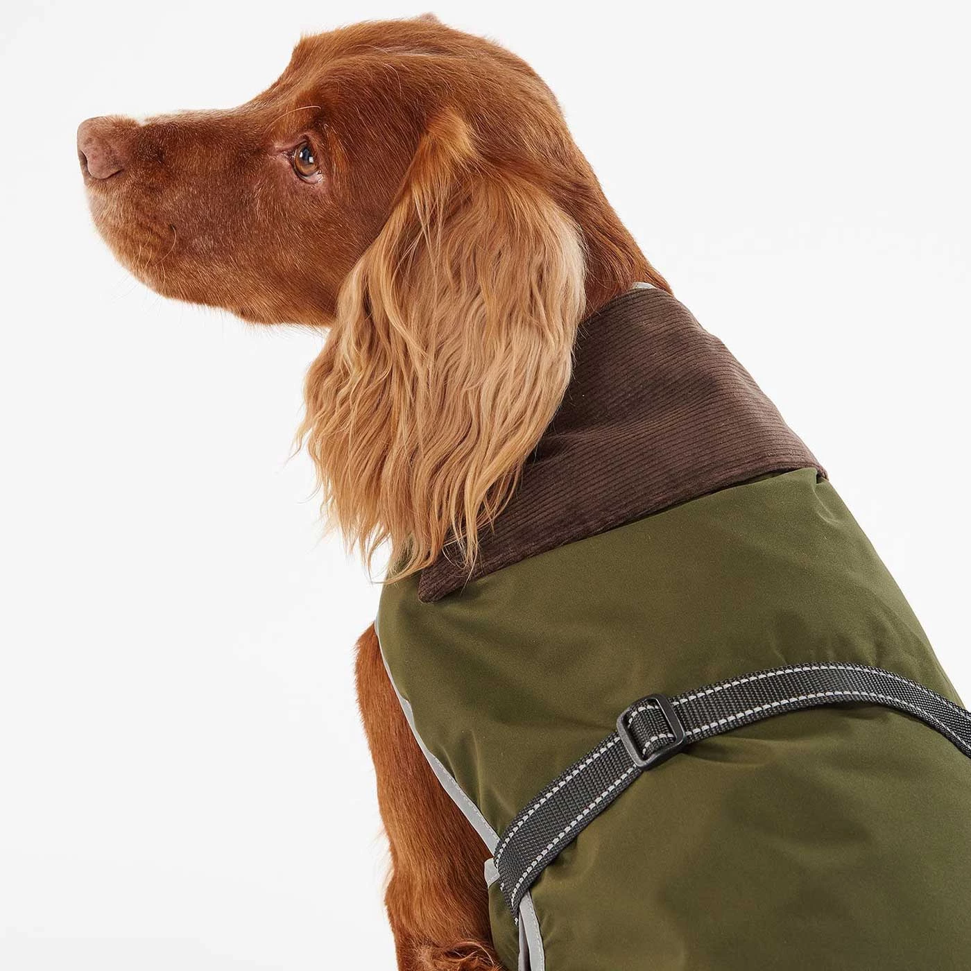 Hot Sale โจ Barbour Monmouth Waterproof ๐ Dog ๐งฅ Coat ๐ 4 Hot Sale โจ Barbour Monmouth Waterproof ๐ Dog ๐งฅ Coat ๐ - Image 4