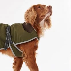Hot Sale โจ Barbour Monmouth Waterproof ๐ Dog ๐งฅ Coat ๐ 17 Hot Sale โจ Barbour Monmouth Waterproof ๐ Dog ๐งฅ Coat ๐ -Lords & Labradors Sales Barbour Monmouth Waterproof Dog Coat 7