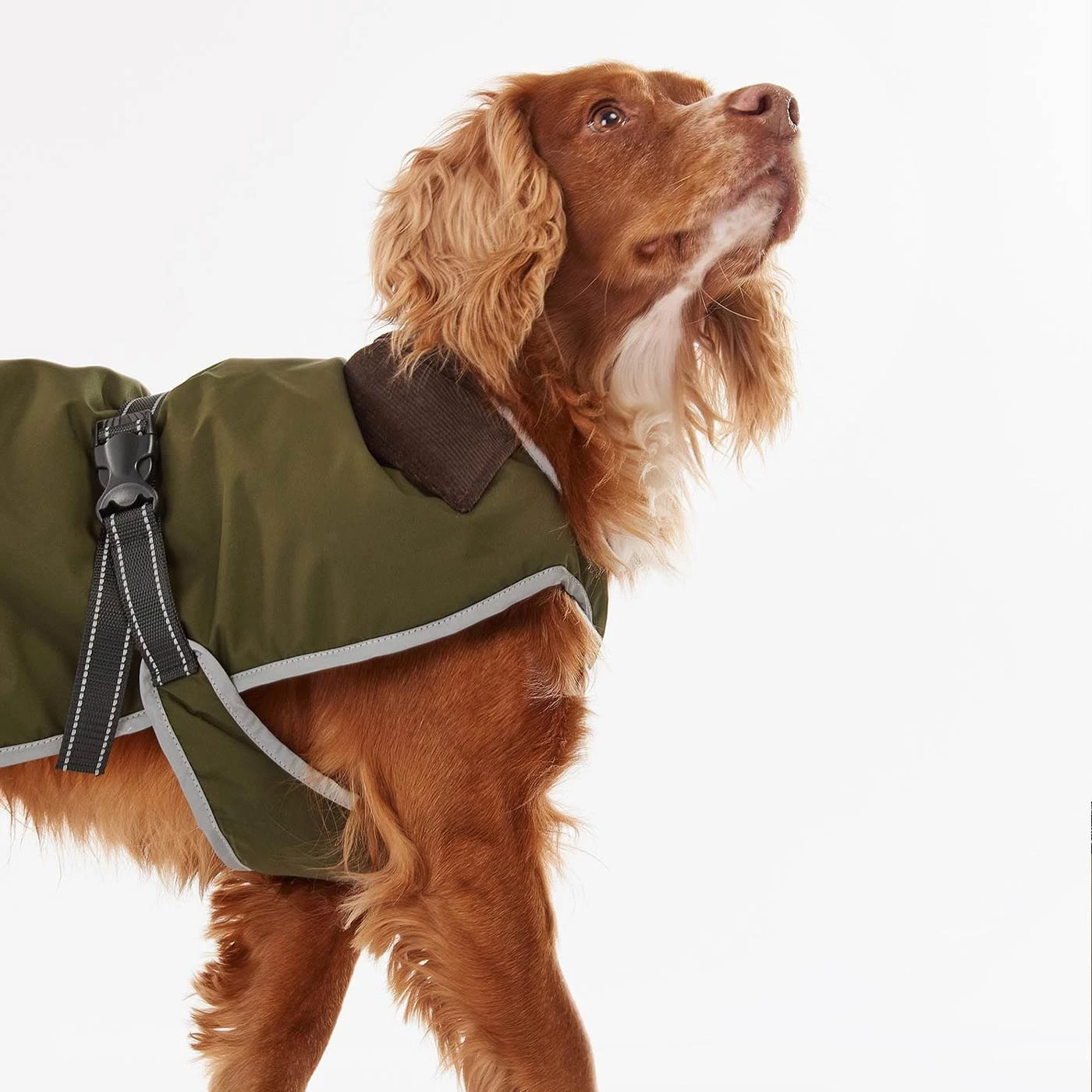 Hot Sale โจ Barbour Monmouth Waterproof ๐ Dog ๐งฅ Coat ๐ 3 Hot Sale โจ Barbour Monmouth Waterproof ๐ Dog ๐งฅ Coat ๐ - Image 3