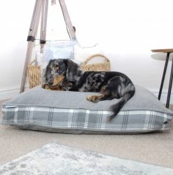 Coupon ✔️ Dog Cushion in Balmoral Dove Grey Tweed by Lords & Labradors ⭐