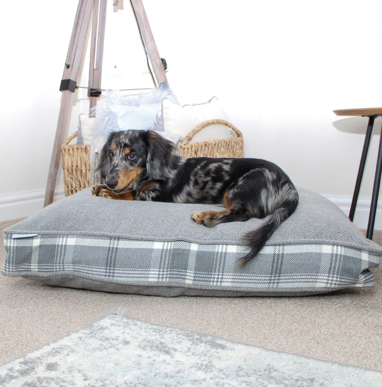 Coupon ✔️ Dog Cushion in Balmoral Dove Grey Tweed by Lords & Labradors ⭐ 1 Coupon ✔️ Dog Cushion in Balmoral Dove Grey Tweed by Lords & Labradors ⭐