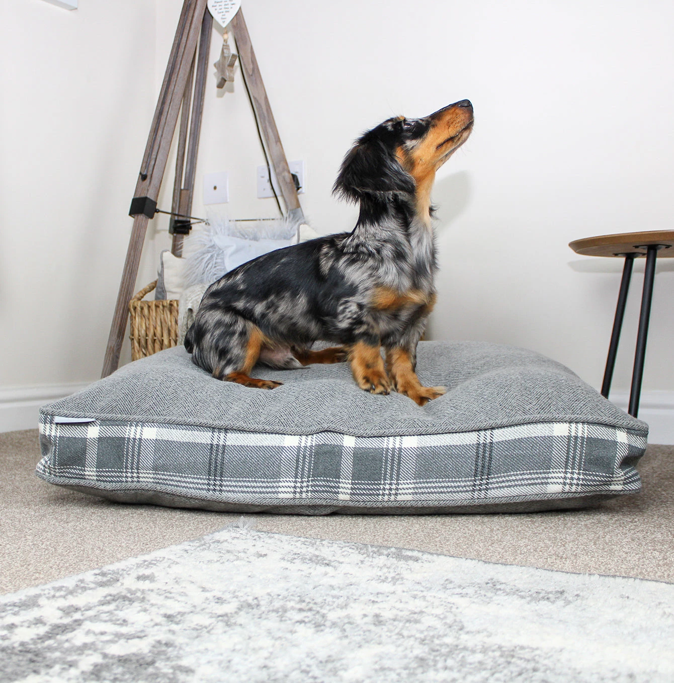 Coupon ✔️ Dog Cushion in Balmoral Dove Grey Tweed by Lords & Labradors ⭐ 2 Coupon ✔️ Dog Cushion in Balmoral Dove Grey Tweed by Lords & Labradors ⭐ - Image 2