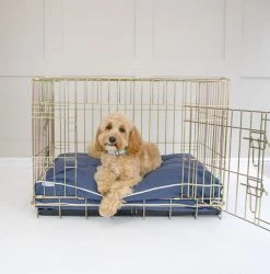 Best reviews of 🔔 Personalised 🦮 Dog Cushion in Savanna Indigo by Lords & Labradors ❤️