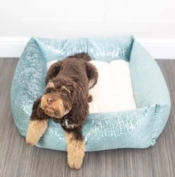 Buy 🛒 Lords & Labradors Luxury Zinc Velvet Box Bed For 🦮 Dogs 🔥 -Lords & Labradors Sales DuckEggZinc3