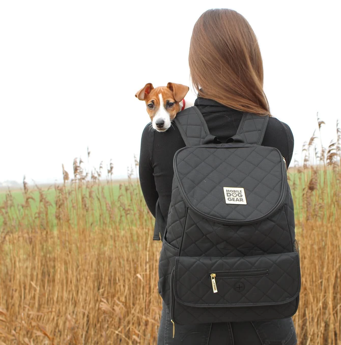 Cheap 🛒 Mobile 🦮 Dog Gear Weekender 🎒 BackPack 🌟 1 Cheap 🛒 Mobile 🦮 Dog Gear Weekender 🎒 BackPack 🌟