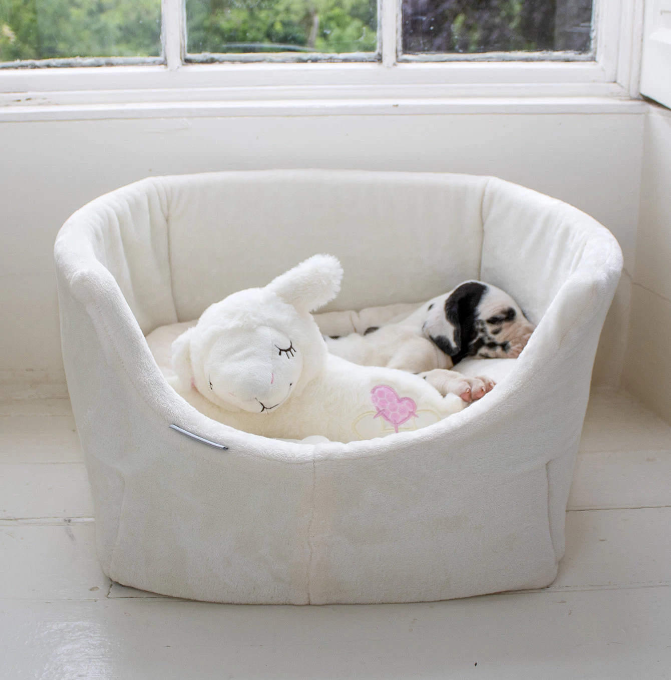 Brand new โ๏ธ White Grow With Me Puppy Bed By Lords & Labradors ๐คฉ 5 Brand new โ๏ธ White Grow With Me Puppy Bed By Lords & Labradors ๐คฉ - Image 5