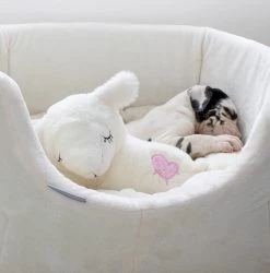Brand new โ๏ธ White Grow With Me Puppy Bed By Lords & Labradors ๐คฉ 9 Brand new โ๏ธ White Grow With Me Puppy Bed By Lords & Labradors ๐คฉ -Lords & Labradors Sales Growwithme Lamb2