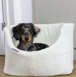 Brand new βοΈ White Grow With Me Puppy Bed By Lords & Labradors π€©