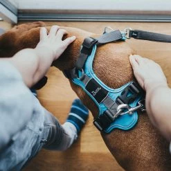 Brand new 🤩 Hunter Pet Hunter Divo Harness ✨ -Lords & Labradors Sales Hunter Divo Harness blue7