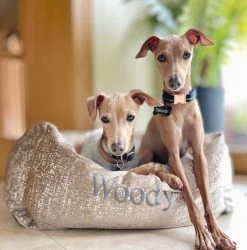 Buy ๐ Lords & Labradors Luxury Zinc Velvet Box Bed For ๐ฆฎ Dogs ๐ฅ