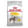 Top 10 ❤️ Royal Canin Maxi Adult Derma Comfort 🐕 Dog Food (10KG) 😀