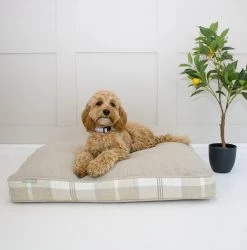 Deals 😍 Dog Cushion in Balmoral Natural Tweed by Lords & Labradors 🎁 8 Deals 😍 Dog Cushion in Balmoral Natural Tweed by Lords & Labradors 🎁 -Lords & Labradors Sales Neutral