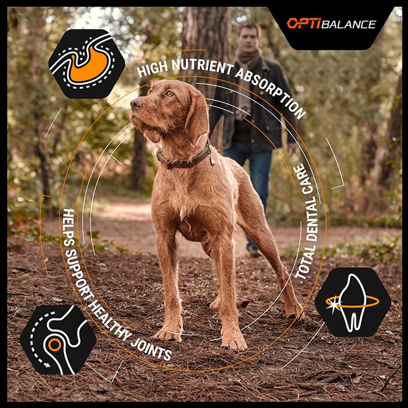 Wholesale ๐ Purina PRO PLAN ๐ฆฎ Dog Large Adult Robust with OPTIBALANCE Chicken Dry Food 14 KG โจ 4 Wholesale ๐ Purina PRO PLAN ๐ฆฎ Dog Large Adult Robust with OPTIBALANCE Chicken Dry Food 14 KG โจ - Image 4