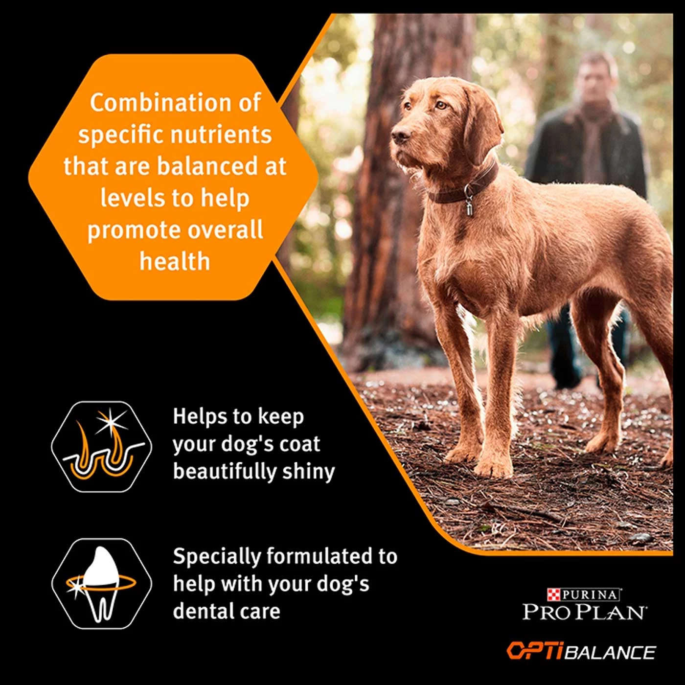 Wholesale ๐ Purina PRO PLAN ๐ฆฎ Dog Large Adult Robust with OPTIBALANCE Chicken Dry Food 14 KG โจ 2 Wholesale ๐ Purina PRO PLAN ๐ฆฎ Dog Large Adult Robust with OPTIBALANCE Chicken Dry Food 14 KG โจ - Image 2