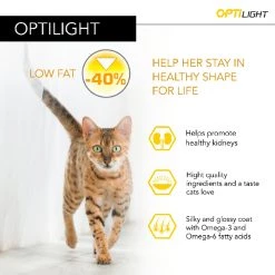 Top 10 ๐ Purina PRO PLAN Light Adult Dry Cat Food with OPTILIGHT Turkey 10kg ๐ 6 Top 10 ๐ Purina PRO PLAN Light Adult Dry Cat Food with OPTILIGHT Turkey 10kg ๐ -Lords & Labradors Sales PRO PLAN Light Adult Dry Cat Food with OPTILIGHT Turkey 10kg 2