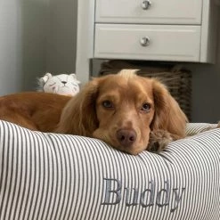 Wholesale ❤️ Lords & Labradors Personalised Box Bed For 🐕 Dogs - Spots & Stripes Collection 🧨 -Lords & Labradors Sales Personalised Box Bed For Dogs Spots Stripes Collection 2