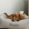 Wholesale ❤️ Lords & Labradors Personalised Box Bed For 🐕 Dogs - Spots & Stripes Collection 🧨