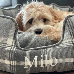 Buy 🛒 Lords & Labradors Personalised High Wall Neutral Tweed Bed For 🐕 Dogs 🤩 -Lords & Labradors Sales Personalised High Wall Neutral Tweed Bed For Dogs 3