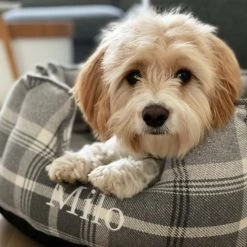 Buy 🛒 Lords & Labradors Personalised High Wall Neutral Tweed Bed For 🐕 Dogs 🤩 -Lords & Labradors Sales Personalised High Wall Neutral Tweed Bed For Dogs ebbf0a6d 4780 4747 a183 57737541fa5d