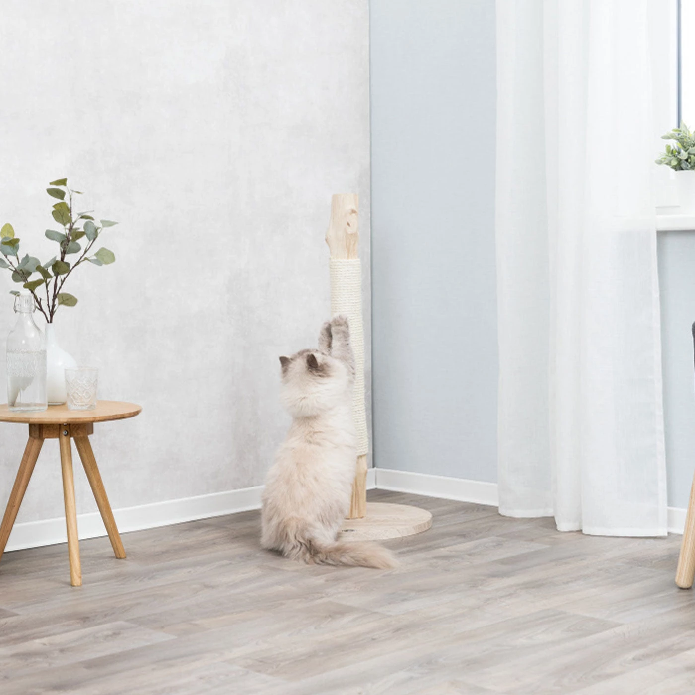 Promo ✨ Trixie Natural Wood Cat Scratching Post ❤️ 1 Promo ✨ Trixie Natural Wood Cat Scratching Post ❤️