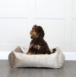 Buy 🛒 Lords & Labradors Luxury Zinc Velvet Box Bed For 🦮 Dogs 🔥 -Lords & Labradors Sales WinnieLighter 02d3e34f 8f2e 44f9 b7db faf6576f8cb3