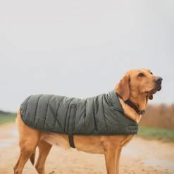 Discount ⭐ Barbour Baffle Quilt 🐶 Dog 🧥 Coat 🔥 -Lords & Labradors Sales barbour baffle quilt dog coat labrador outside 2