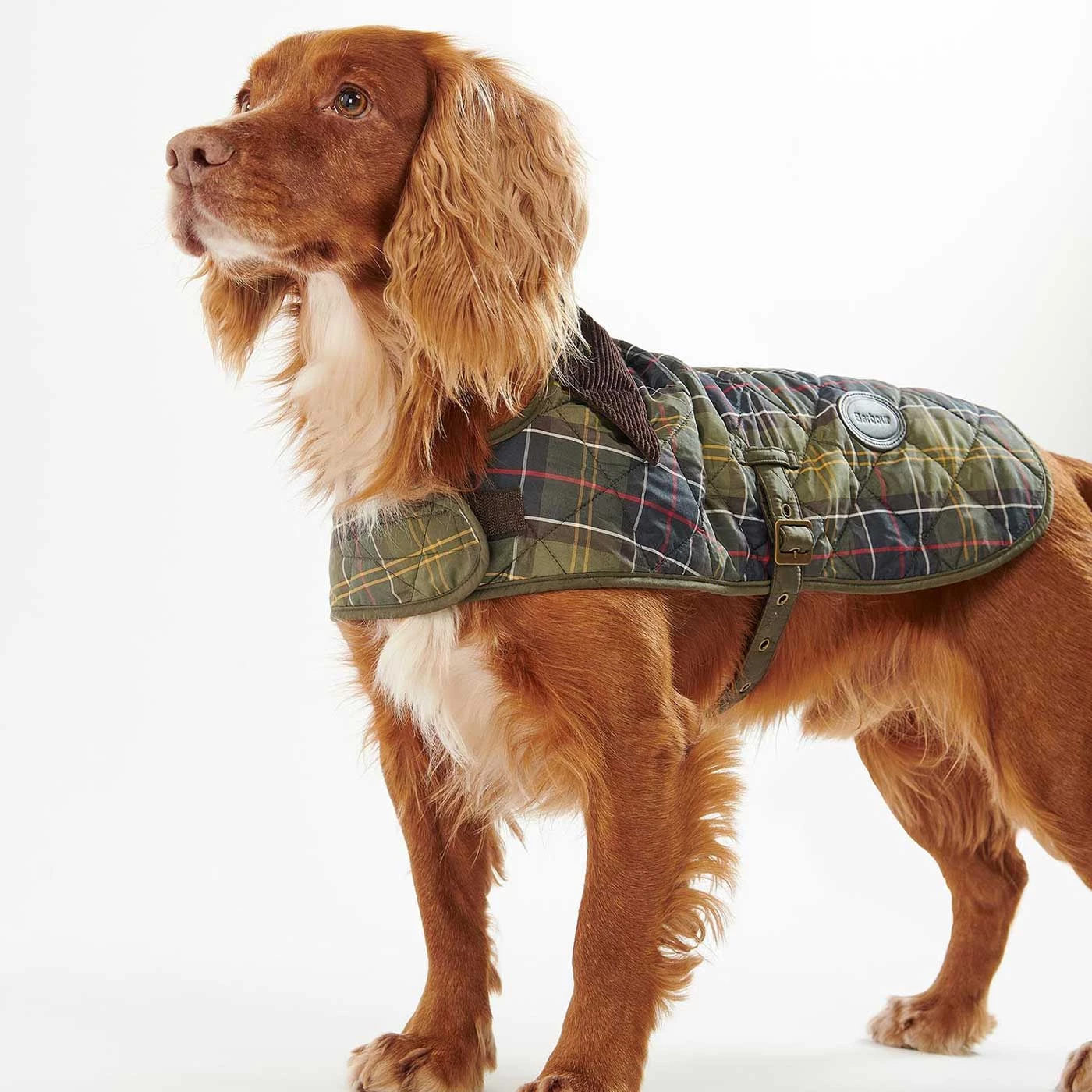 Brand new 🤩 Barbour Tartan 🦮 Dog 🧥 Coat 🌟 1 Brand new 🤩 Barbour Tartan 🦮 Dog 🧥 Coat 🌟