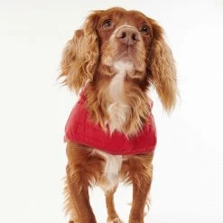 Discount ⭐ Barbour Baffle Quilt 🐶 Dog 🧥 Coat 🔥 -Lords & Labradors Sales barbour luxury baffle quilt dog coat 8