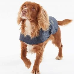 Top 10 🛒 Barbour Quilted 🐕 Dog 🧥 Coat 💯 20 Top 10 🛒 Barbour Quilted 🐕 Dog 🧥 Coat 💯 -Lords & Labradors Sales barbour quilted dog coat 4