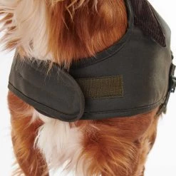 Top 10 👏 Barbour Shiny Wax 🦮 Dog 🧥 Coat 🔥 -Lords & Labradors Sales barbour shiny wax dog coat 2