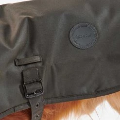 Top 10 👏 Barbour Shiny Wax 🦮 Dog 🧥 Coat 🔥 -Lords & Labradors Sales barbour shiny wax dog coat 3