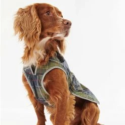 Wholesale 🎉 Barbour Waterproof Tartan 🐶 Dog 🧥 Coat 👍 -Lords & Labradors Sales barbour waterproof tartan dog coat 5