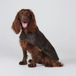 Coupon 🤩 Barbour Wax 🐕 Dog 🧥 Coat ⭐ 14 Coupon 🤩 Barbour Wax 🐕 Dog 🧥 Coat ⭐ -Lords & Labradors Sales barbour wax dog coat olive 2