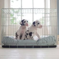 Brand new 😉 Dog Cushion in Central Park by Lords & Labradors ⭐