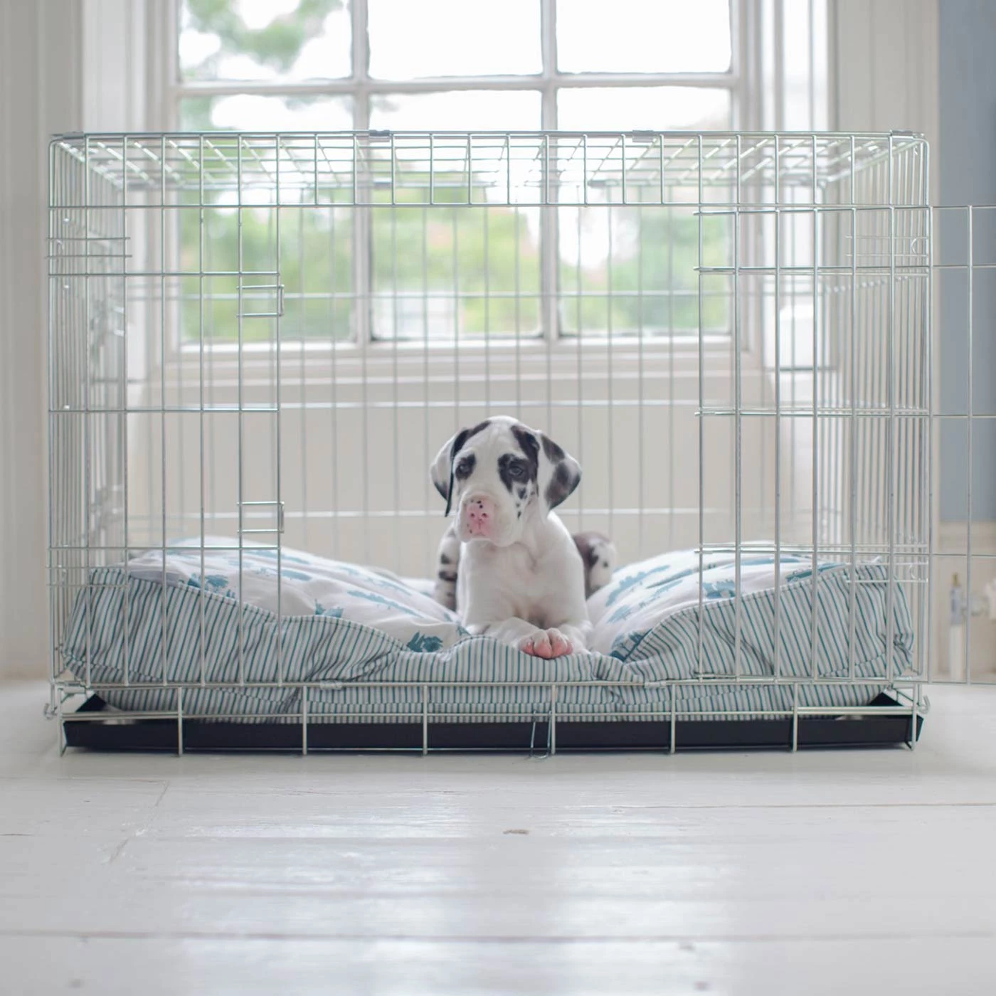 Brand new ๐ Dog Cushion in Central Park by Lords & Labradors โญ 2 Brand new ๐ Dog Cushion in Central Park by Lords & Labradors โญ - Image 2