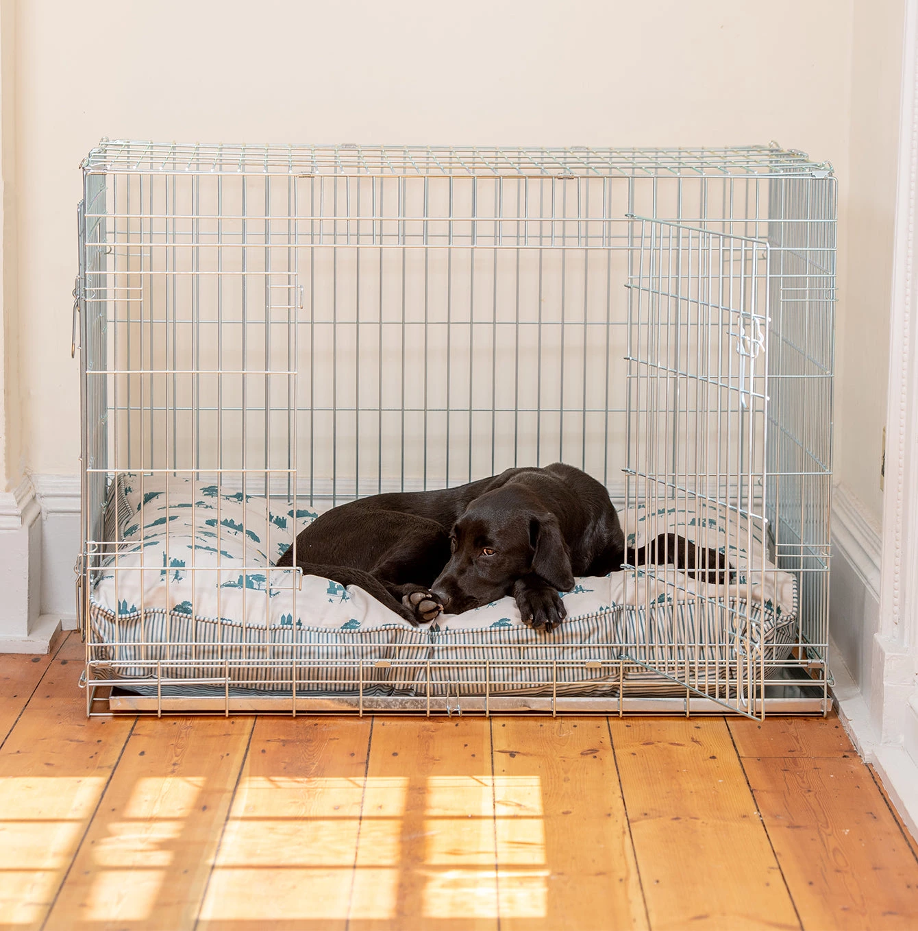 Flash Sale 🥰 Personalised 🐶 Dog Cushion in Central Park by Lords & Labradors 🔔 1 Flash Sale 🥰 Personalised 🐶 Dog Cushion in Central Park by Lords & Labradors 🔔