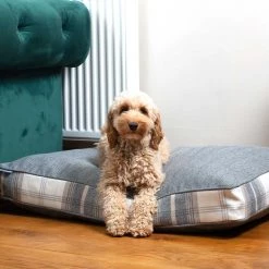 Best deal ๐ฅฐ Dog Cushion in Balmoral Charcoal Tweed by Lords & Labradors ๐