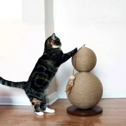 Deals 🤩 Rosewood Coriander Scratch Post 😉