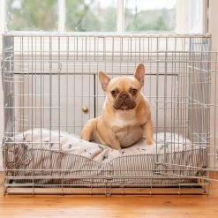 Hot Sale ๐ Dog Cushion in Cosmopolitan ๐ Dog by Lords & Labradors ๐