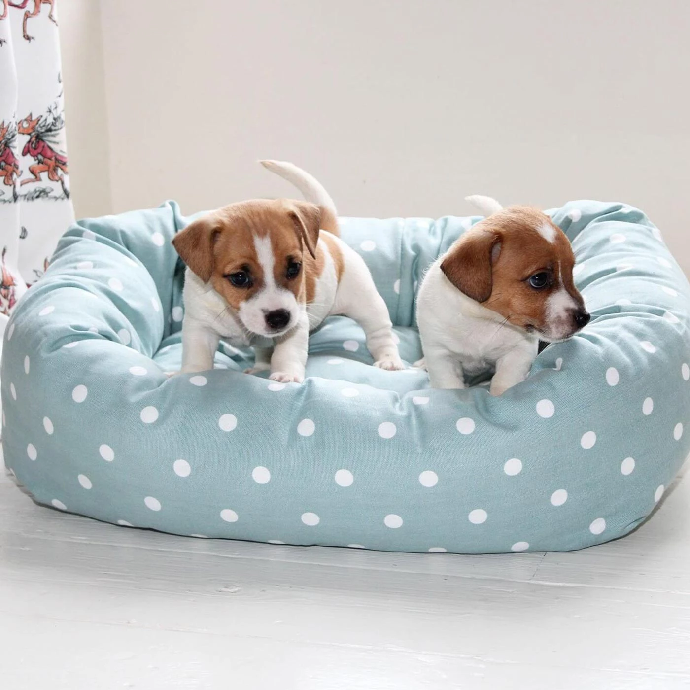 Coupon 😉 Lords & Labradors Cosy & Calm Puppy Box Bed 😉 28 Coupon 😉 Lords & Labradors Cosy & Calm Puppy Box Bed 😉 - Image 28