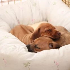 Coupon 😉 Lords & Labradors Cosy & Calm Puppy Box Bed 😉 42 Coupon 😉 Lords & Labradors Cosy & Calm Puppy Box Bed 😉 -Lords & Labradors Sales cosy calm puppy box bed flamingo