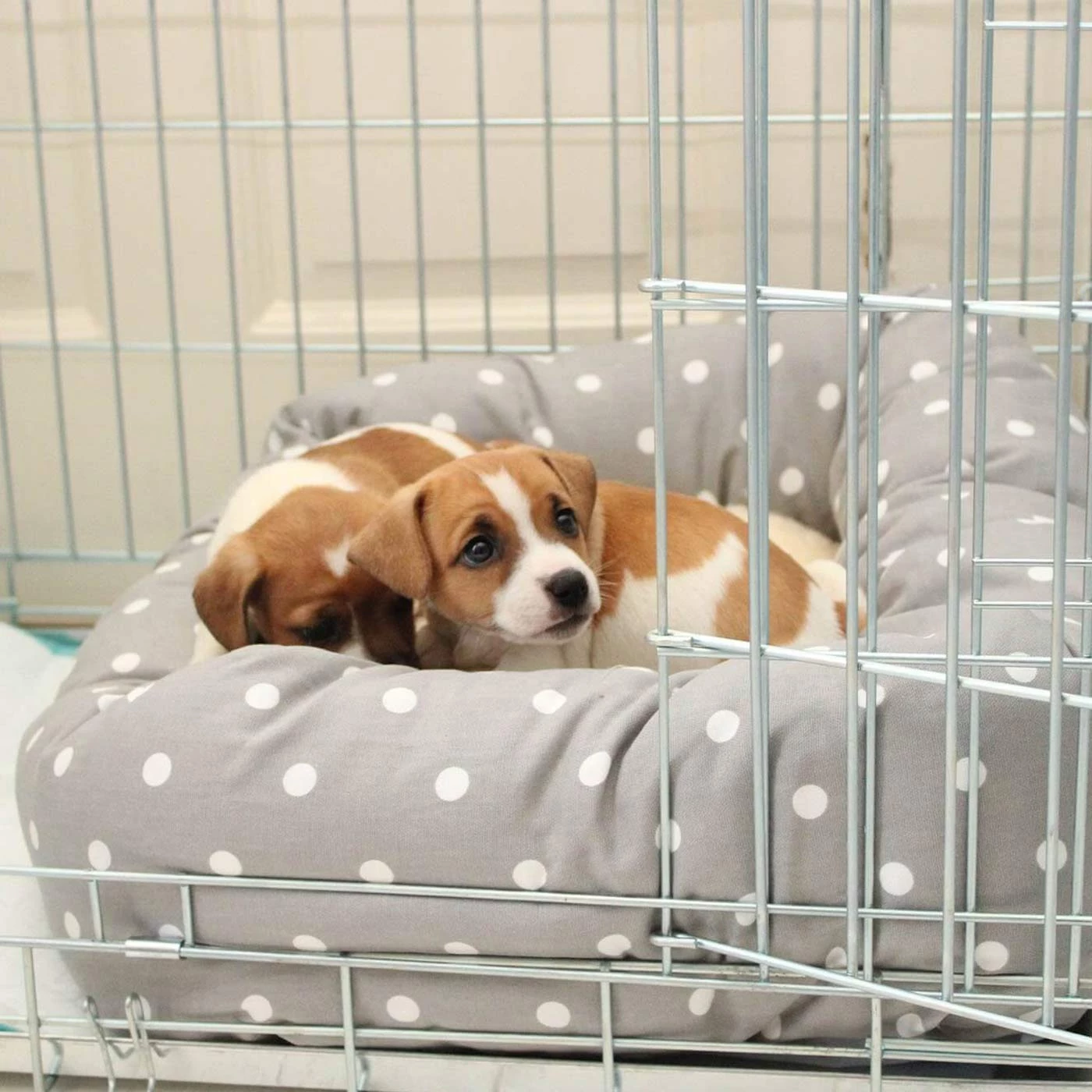 Coupon 😉 Lords & Labradors Cosy & Calm Puppy Box Bed 😉 24 Coupon 😉 Lords & Labradors Cosy & Calm Puppy Box Bed 😉 - Image 24