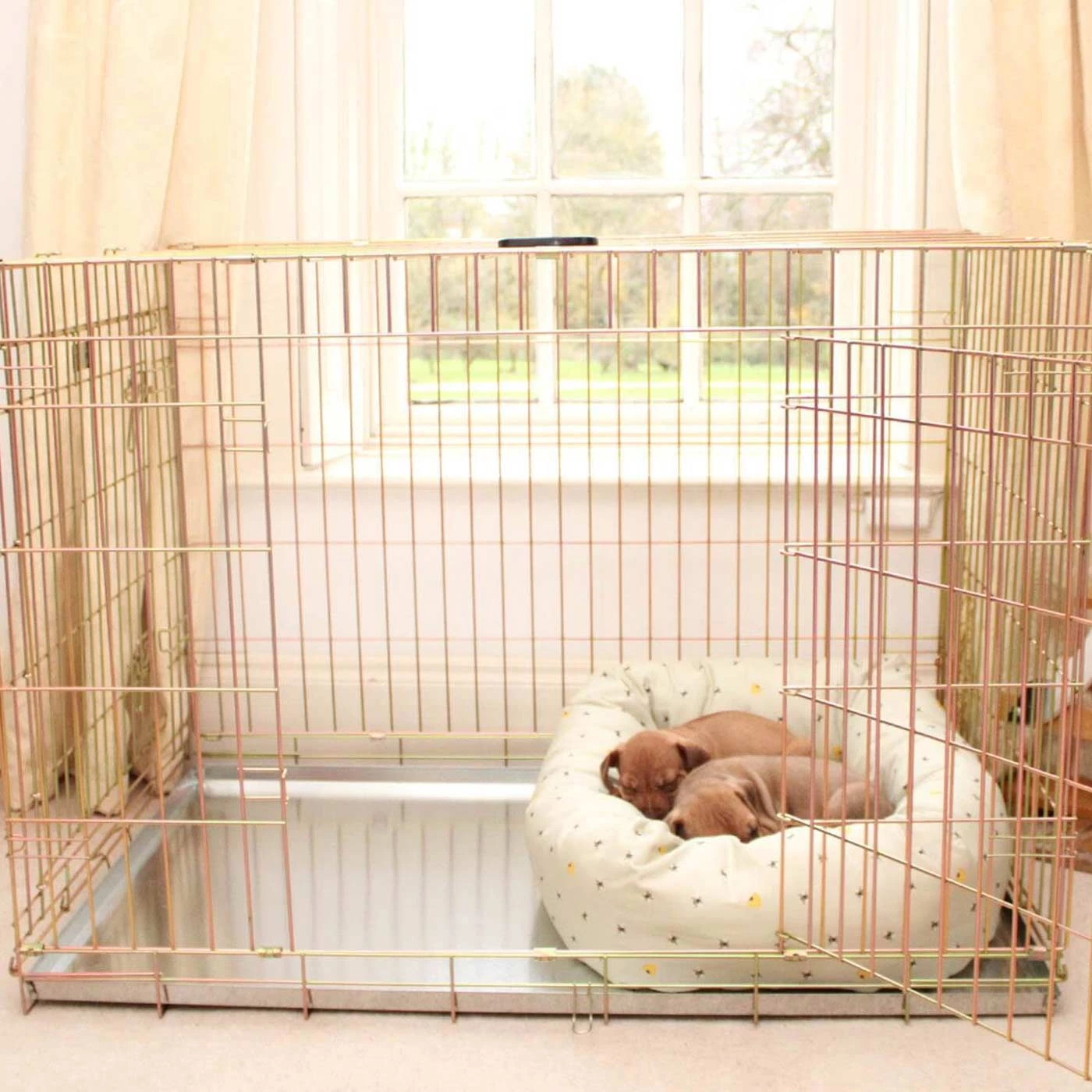 Coupon 😉 Lords & Labradors Cosy & Calm Puppy Box Bed 😉 5 Coupon 😉 Lords & Labradors Cosy & Calm Puppy Box Bed 😉 - Image 5