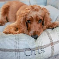 Brand new ❤️ Lords & Labradors Cosy Tweed Box Bed For 🐕 Dogs 😍 -Lords & Labradors Sales cosy tweed box bed for dogs duck egg close up