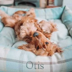 Brand new โค๏ธ Lords & Labradors Cosy Tweed Box Bed For ๐ Dogs ๐