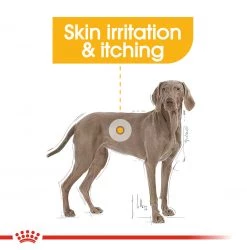 Top 10 ❤️ Royal Canin Maxi Adult Derma Comfort 🐕 Dog Food (10KG) 😀 -Lords & Labradors Sales derma2 4002f69c 41ae 47de ae1c 18f95350df1c