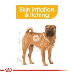 Outlet โ๏ธ Royal Canin Medium Adult Derma Comfort ๐ถ Dog Food (10KG) ๐ 11 Outlet โ๏ธ Royal Canin Medium Adult Derma Comfort ๐ถ Dog Food (10KG) ๐ -Lords & Labradors Sales derma3 40809088 d295 4714 8223 827f36551395