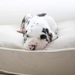 Wholesale 🌟 Dog Crate with Savanna Cushion by Lords & Labradors 👏 -Lords & Labradors Sales dog crate with savanna cushion by lords labradors lifestyle